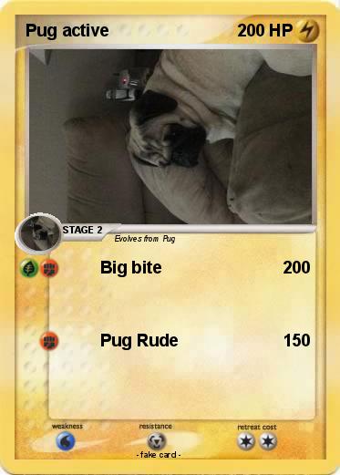 Pokemon Pug active