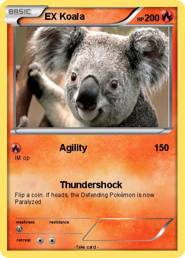 Pokemon EX Koala