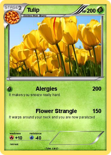 Pokemon Tulip