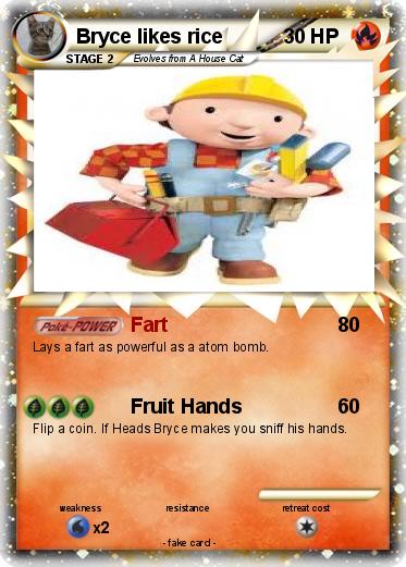 Pokemon Bryce likes rice