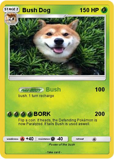 Pokemon Bush Dog