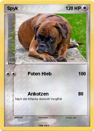 Pokemon Spyk