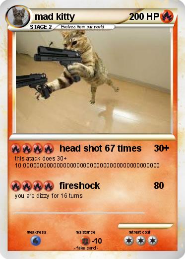 Pokemon mad kitty