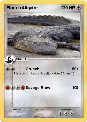 Pokemon Florida Aligator