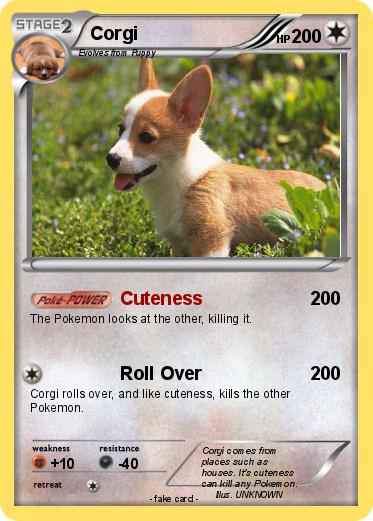 Pokemon Corgi