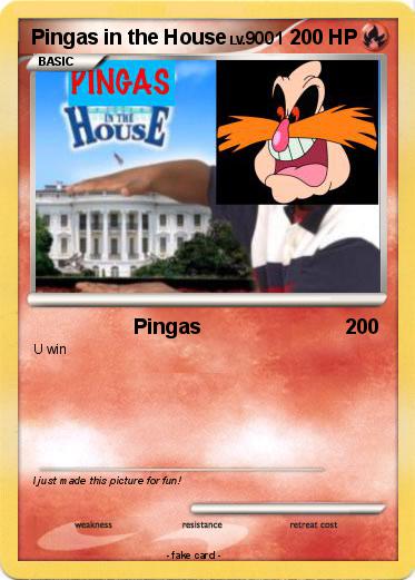Pokemon Pingas in the House