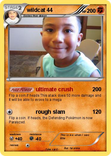 Pokemon wildcat 44
