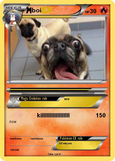 Pokemon boi
