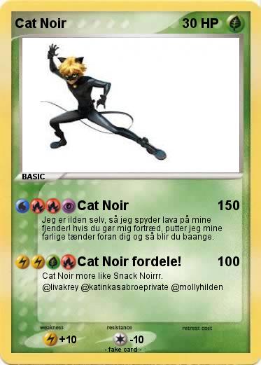 Pokemon Cat Noir