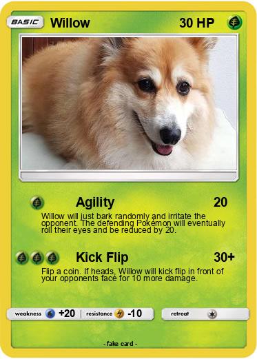 Pokemon Willow