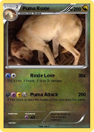 Pokemon Puma Roxie