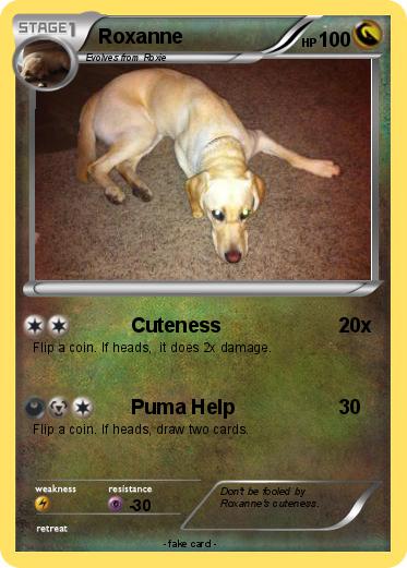 Pokemon Roxanne
