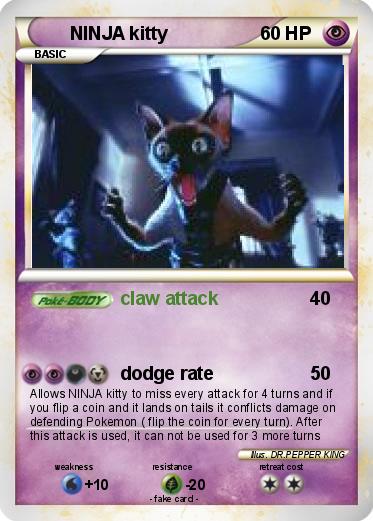 Pokemon NINJA kitty
