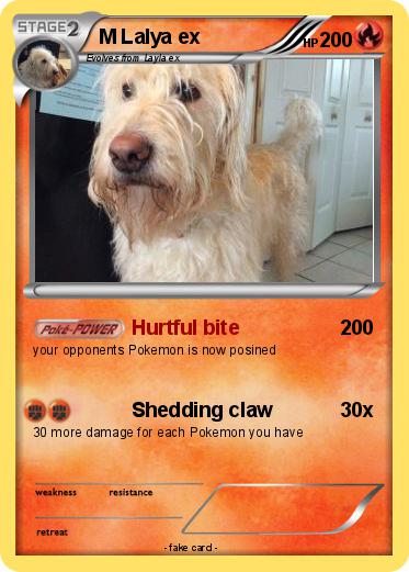Pokemon M Lalya ex