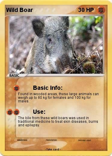 Pokemon Wild Boar