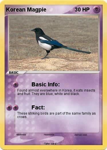 Pokemon Korean Magpie