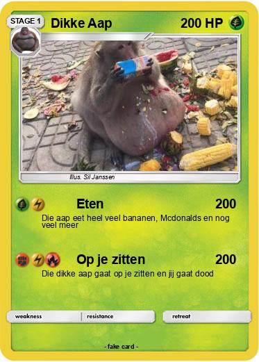 Pokemon Dikke Aap