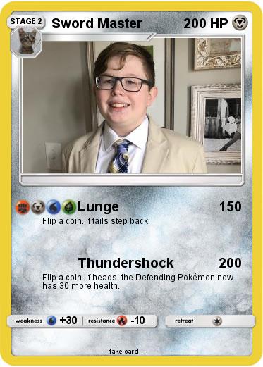 Pokemon Sword Master