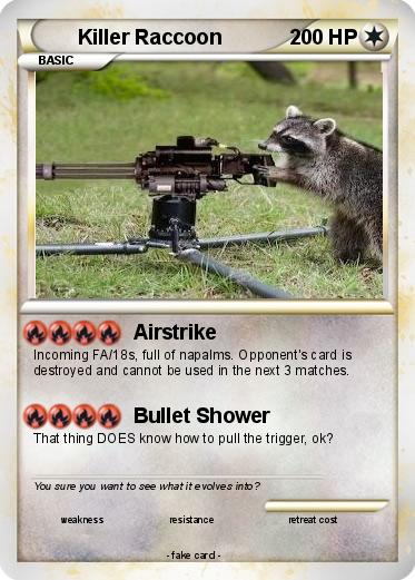 Pokemon Killer Raccoon