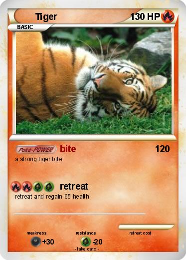 Pokemon Tiger