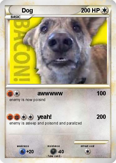 Pokemon Dog
