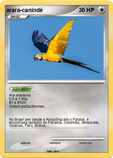 Pokemon arara-canindé
