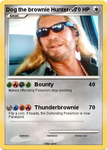 Pokemon Dog the brownie Hunter
