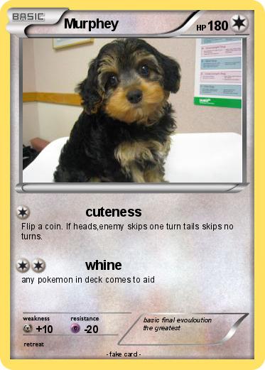 Pokemon Murphey
