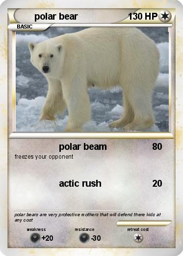 Pokemon polar bear