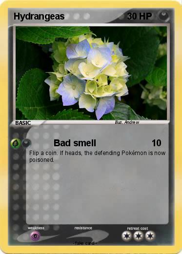 Pokemon Hydrangeas