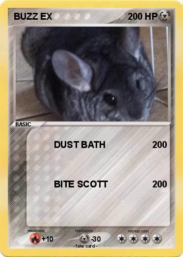 Pokemon BUZZ EX
