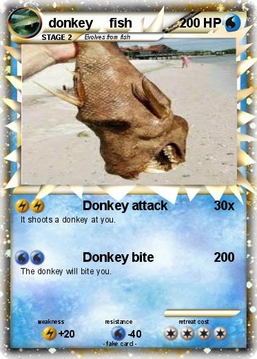 Pokemon donkey     fish