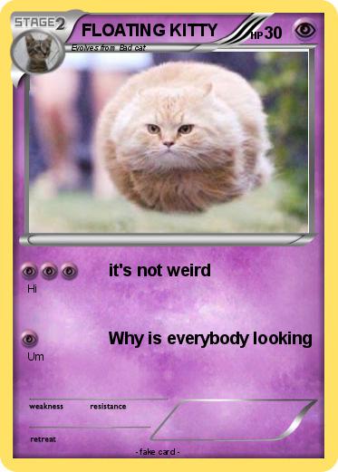 Pokemon FLOATING KITTY