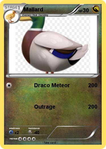 Pokemon Mallard