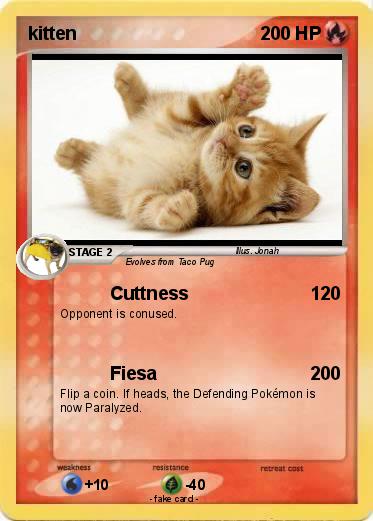 Pokemon kitten