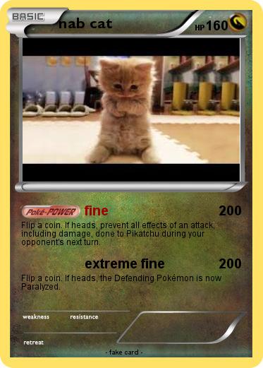 Pokemon nab cat