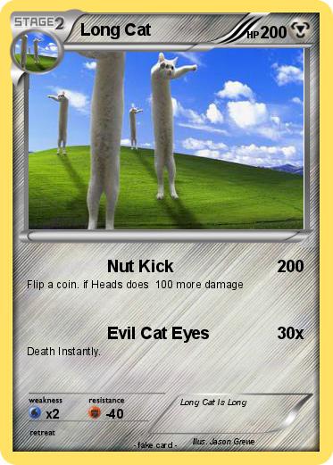 Pokemon Long Cat