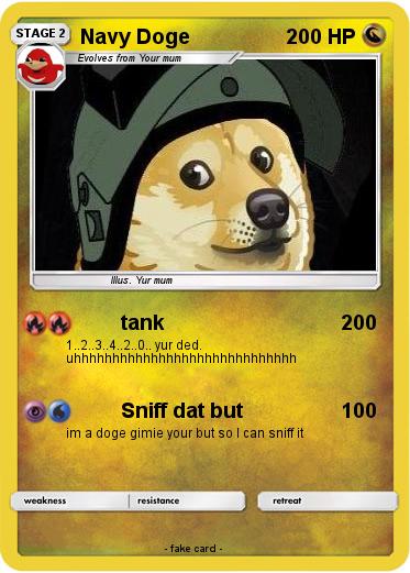 Pokemon Navy Doge