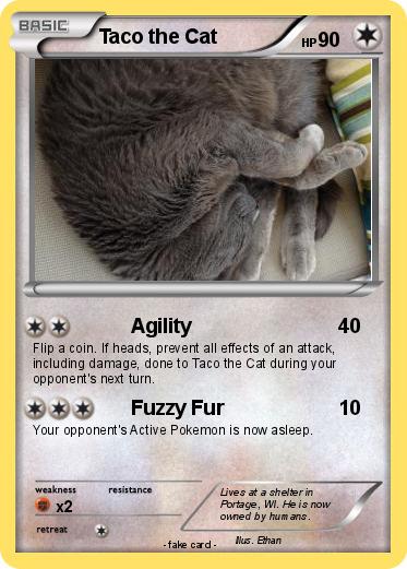 Pokemon Taco the Cat