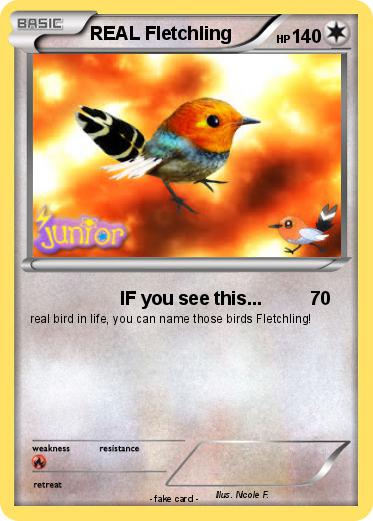 Pokemon REAL Fletchling