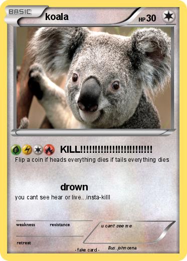 Pokemon koala