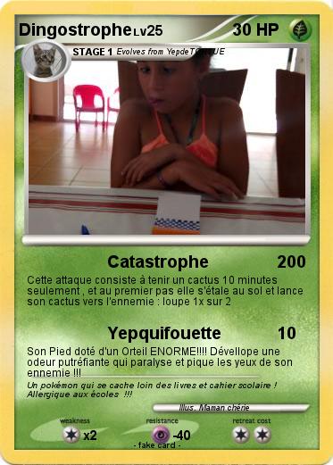 Pokemon Dingostrophe