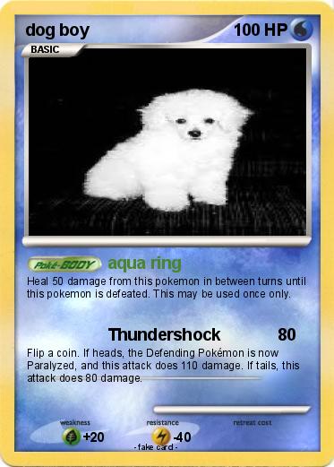 Pokemon dog boy