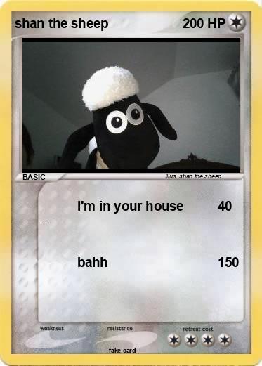 Pokemon shan the sheep