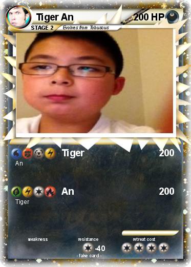 Pokemon Tiger An