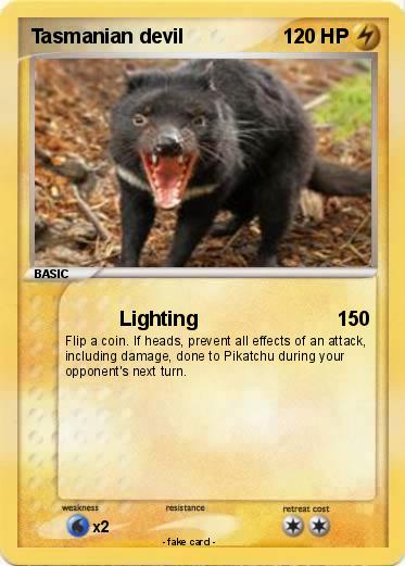 Pokemon Tasmanian devil