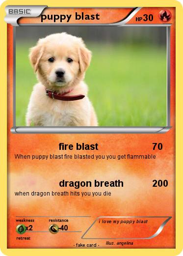 Pokemon puppy blast