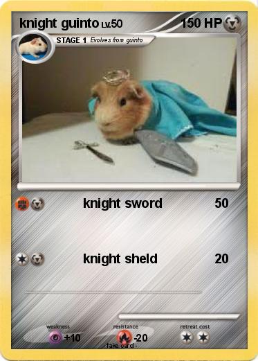 Pokemon knight guinto