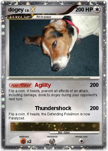 Pokemon dogey