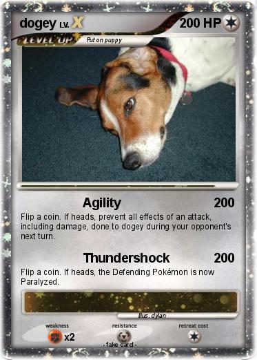 Pokemon dogey